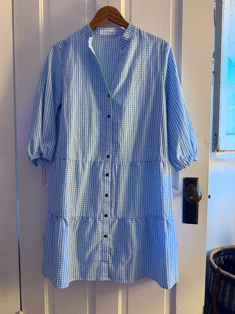Light Blue Gingham Long Sleeve Button-Front Dress